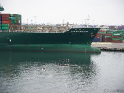 QueenVictoria2015-076